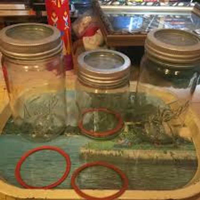 Hovedbilde Gummiring for sylteglass